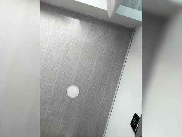 MaddisonWelch webcam