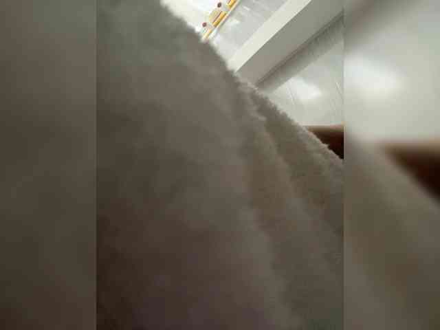 MaddisonWelch webcam