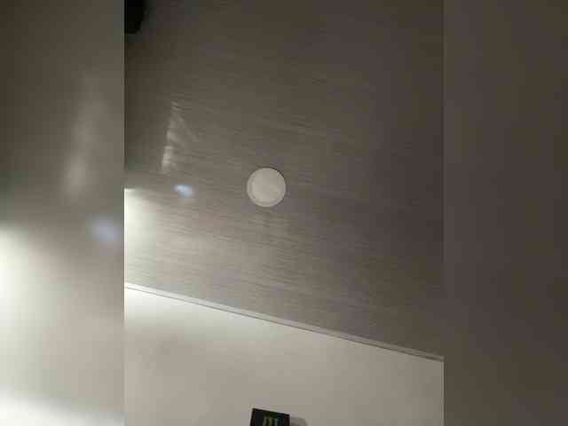 MaddisonWelch webcam