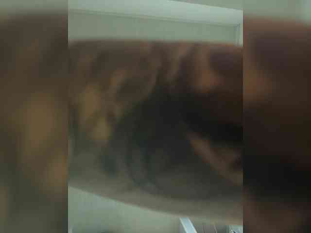 MaddisonWelch webcam