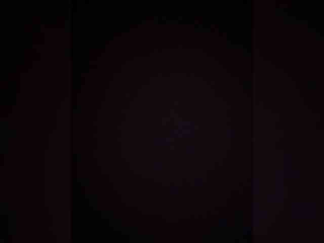 MaddisonWelch webcam