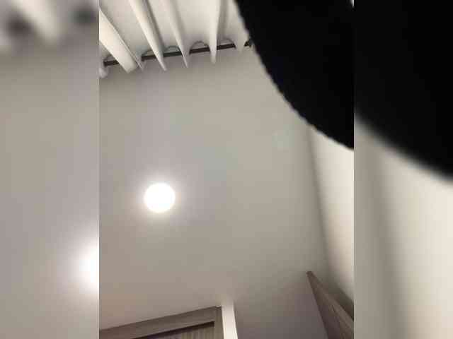 MaddisonWelch webcam