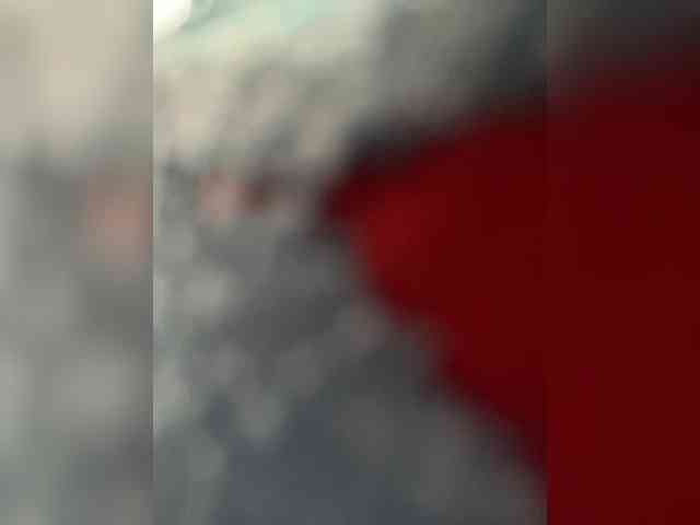 MaddisonWelch MaddisonWelch