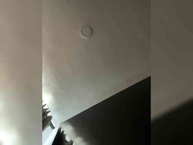 MaddisonWelch webcam