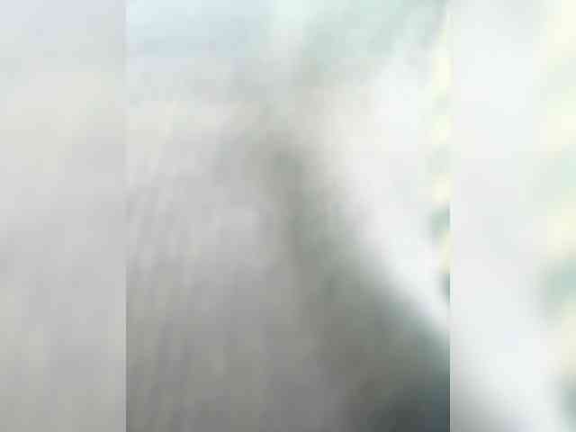 MaddisonWelch webcam