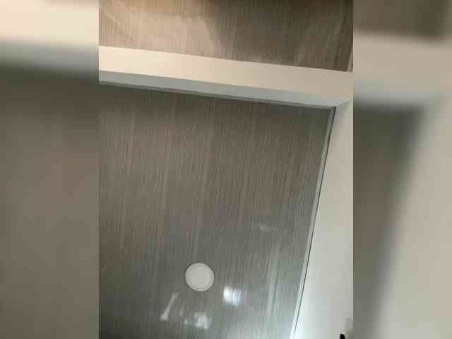 MaddisonWelch webcam