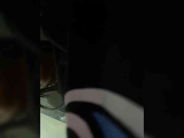 MaddisonWelch webcam