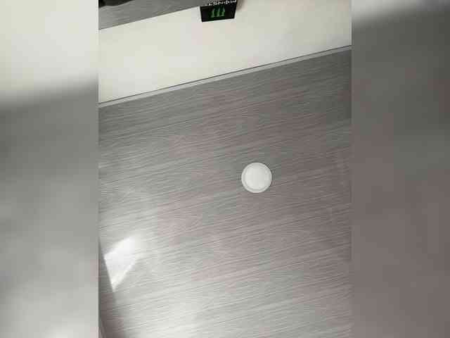 MaddisonWelch webcam