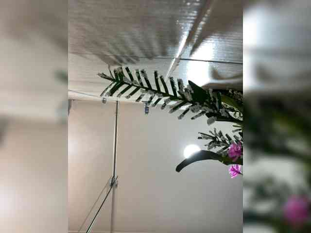 MaddisonWelch MaddisonWelch