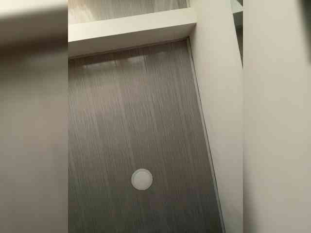 MaddisonWelch webcam