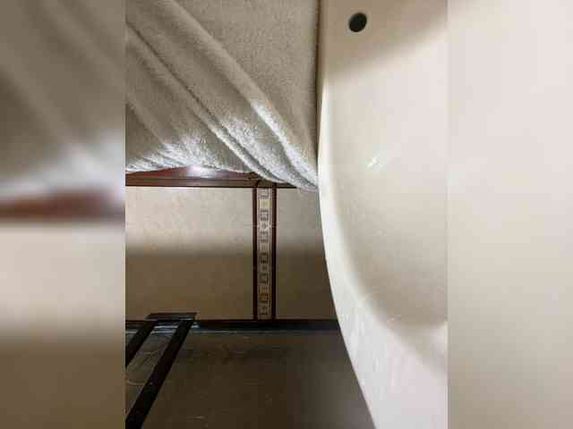 MaddisonWelch webcam