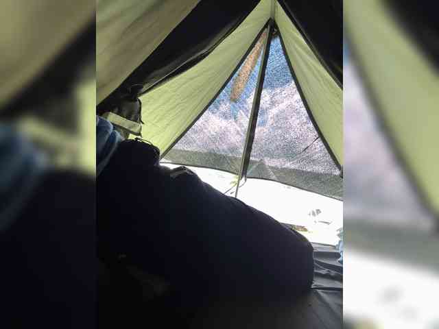 MaddisonWelch MaddisonWelch