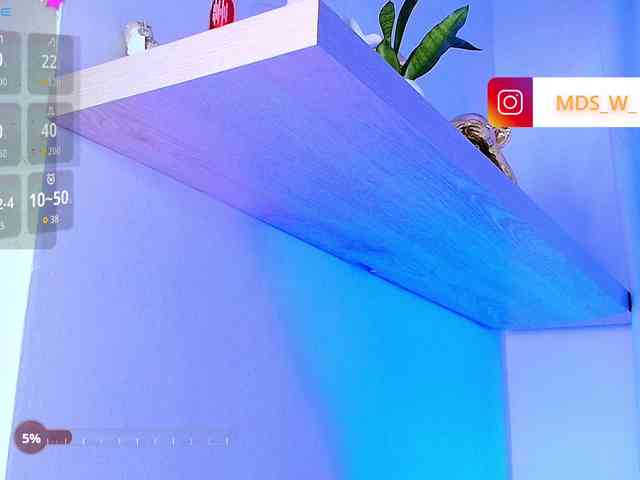 MaddisonWelch webcam