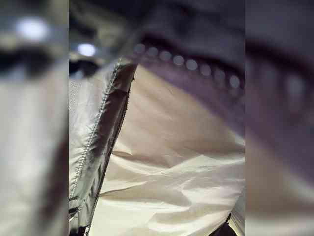 MaddisonWelch webcam