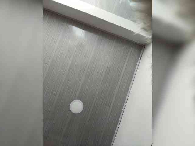 MaddisonWelch webcam