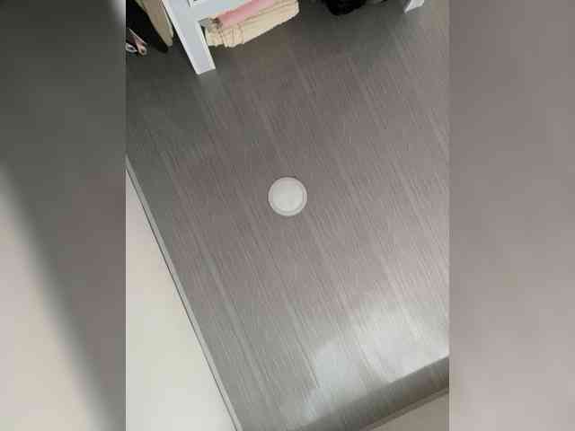 MaddisonWelch webcam