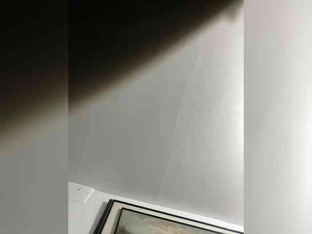 MaddisonWelch webcam