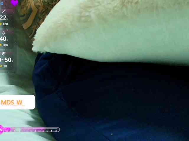 MaddisonWelch webcam