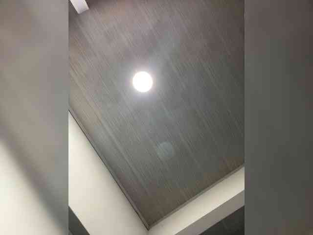 MaddisonWelch MaddisonWelch