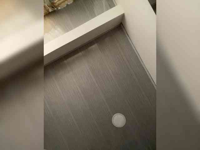 MaddisonWelch webcam