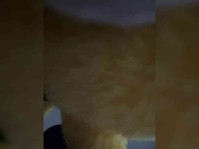 MaddisonWelch webcam