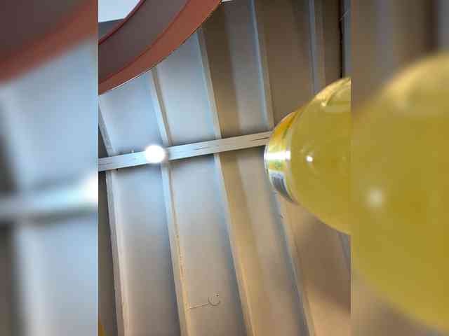 MaddisonWelch MaddisonWelch