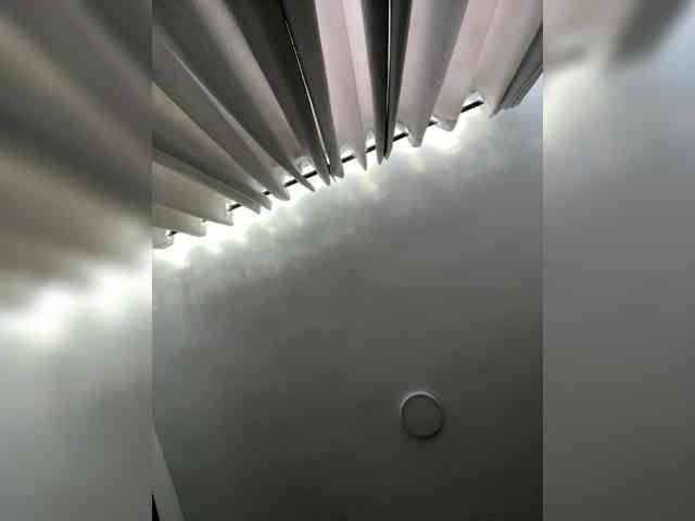 MaddisonWelch webcam