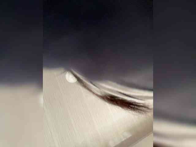 MaddisonWelch webcam