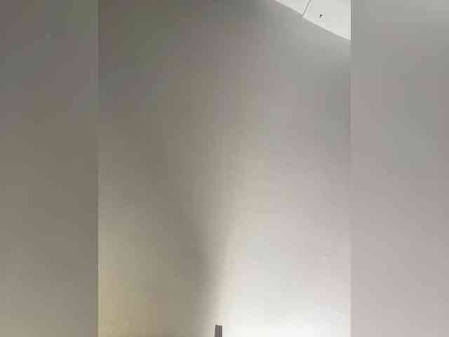 MaddisonWelch MaddisonWelch