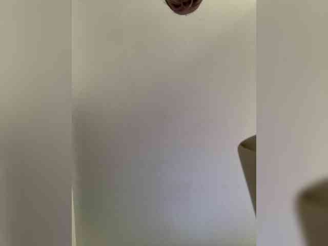 MaddisonWelch webcam