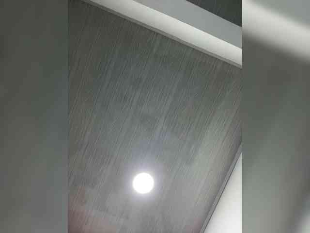 MaddisonWelch MaddisonWelch