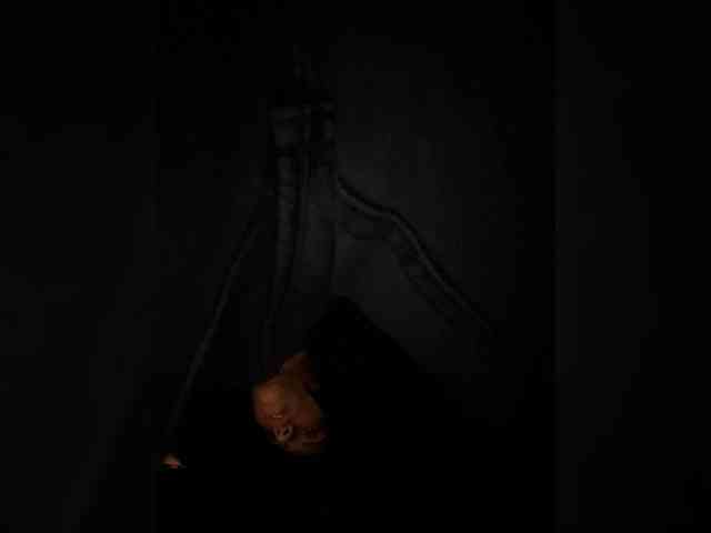 MaddisonWelch MaddisonWelch