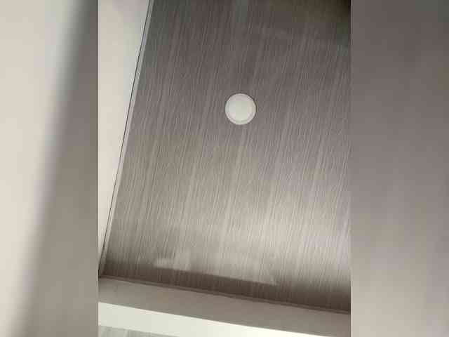 MaddisonWelch webcam