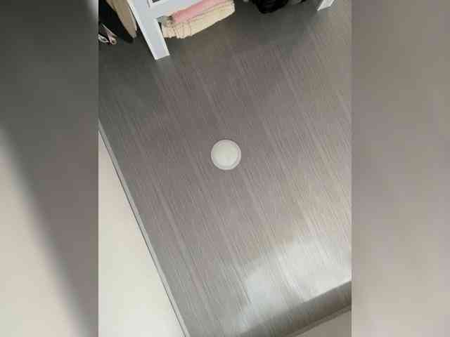 MaddisonWelch webcam