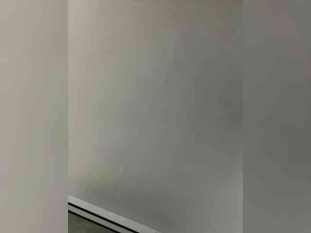 MaddisonWelch MaddisonWelch