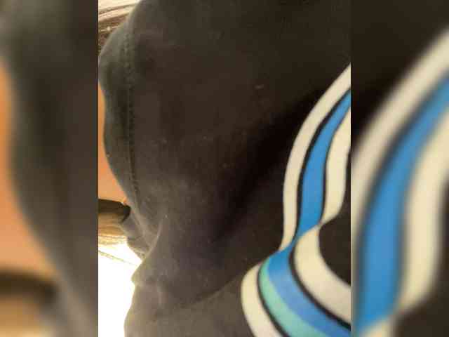 MaddisonWelch webcam