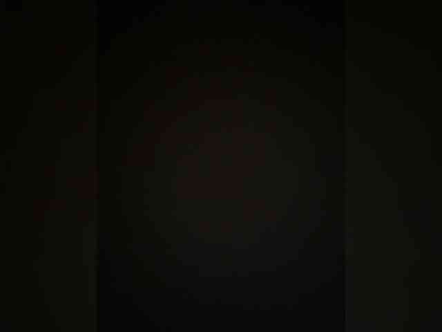 MaddisonWelch webcam