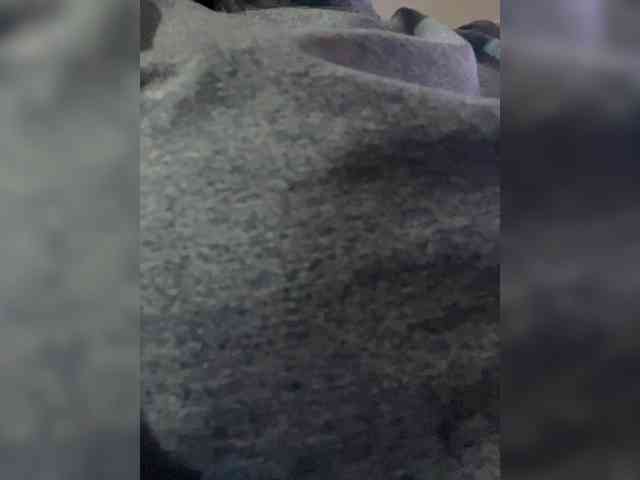 MaddisonWelch webcam