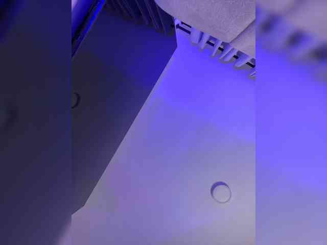 MaddisonWelch webcam