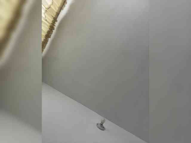 MaddisonWelch MaddisonWelch