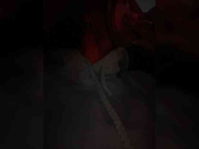 MaddisonWelch webcam