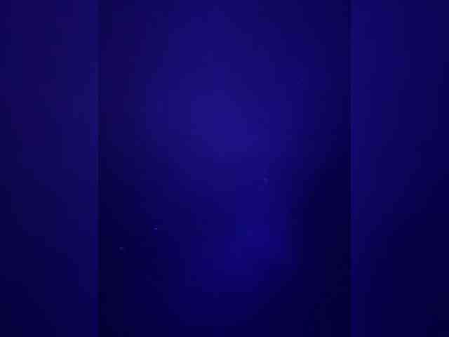 MaddisonWelch MaddisonWelch