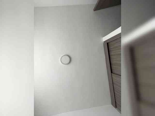 MaddisonWelch webcam