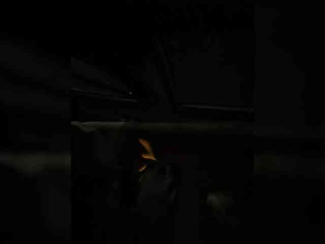 MaddisonWelch MaddisonWelch