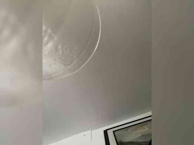 MaddisonWelch webcam