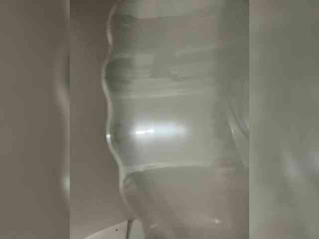 MaddisonWelch MaddisonWelch