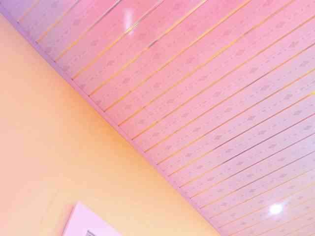 JuliaHaye webcam