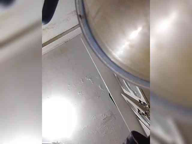 cordelia webcam