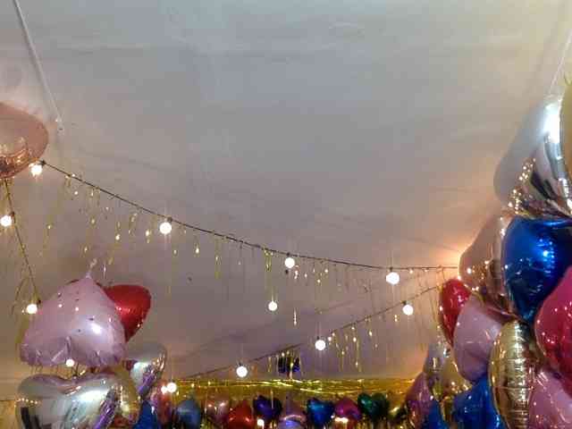 handsome-alfi handsome-alfi