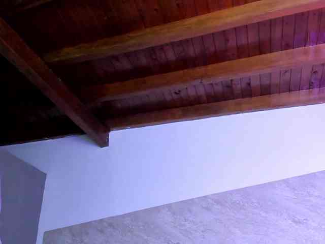 SinthiaCollin webcam